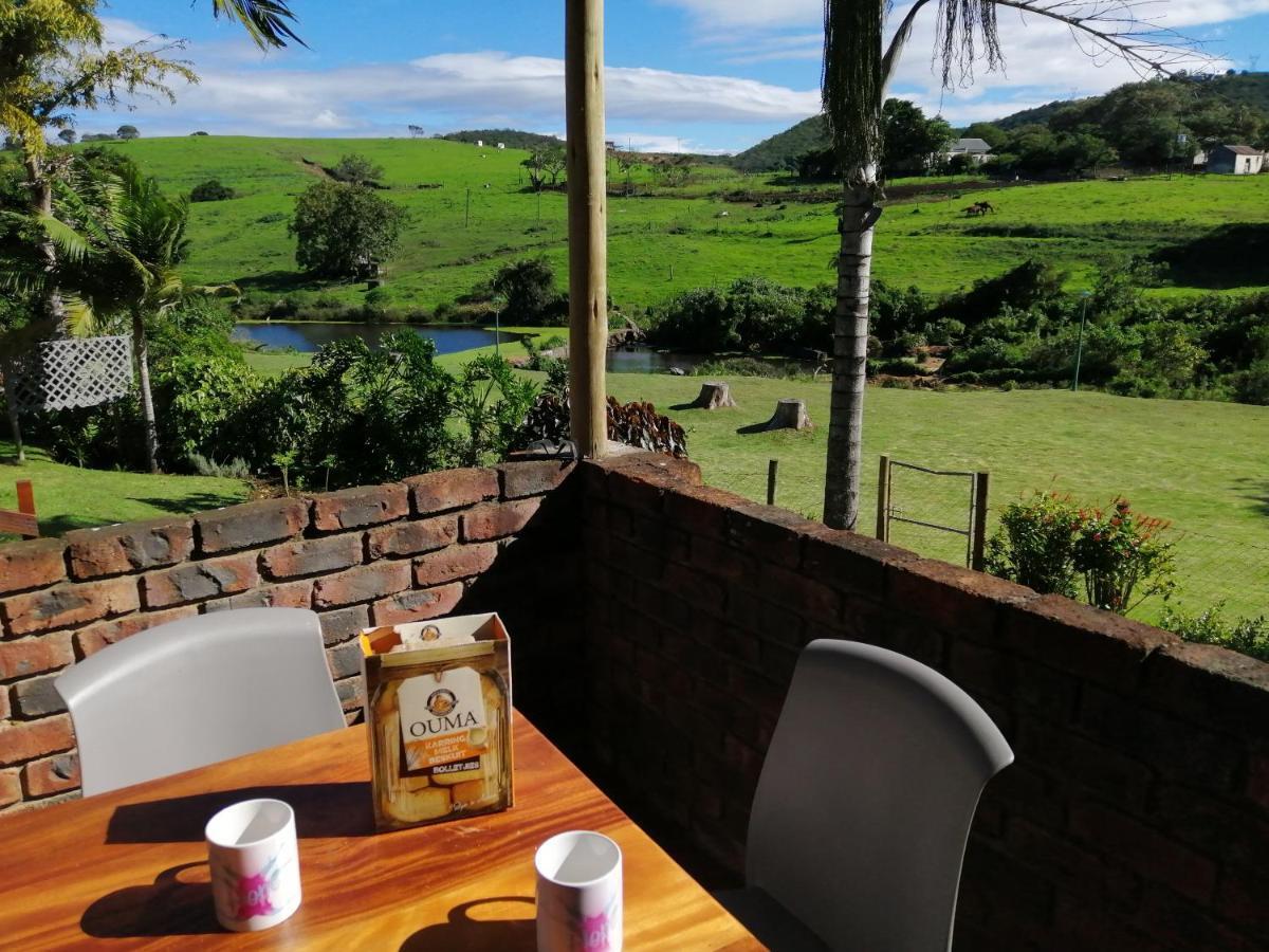 Farm View Guest House East London Ngoại thất bức ảnh